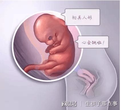 陈教授